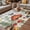 LightGrey, variant on Spring Mushrooms Outdoor Rug for Patio/Deck/Porch, Non-Slip Large Area Rug 5 x 7 Ft, Farmhouse Pastoral Botanical Watercolor Indoor Outdoor Rugs Washable Area Rugs, Camping Rug Carpet Runner