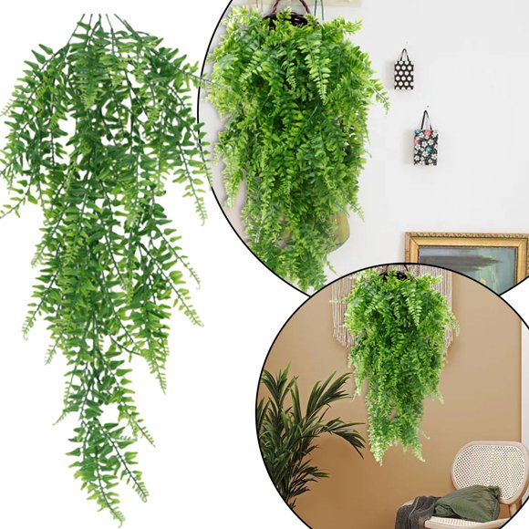 Jkkant Hanging Fern and Vine Greenery, 1PC Wall Decor for Indoor Spaces, Trailing Plant Set
