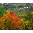 thumbnail image 2 of Terrill, Steve 32x26 Black Ornate Wood Framed with Double Matting Museum Art Print Titled - Vermont, St Johnsbury Hillside Trees and homes, 2 of 4
