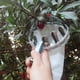 thumbnail image 5 of Toystoory Recolector de frutas de Metal para huerta, recogedor de jardinería ajustable, granja, jardín, patio, colección Manual para Cocina y Comedor, 5 of 6