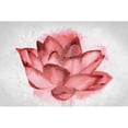 thumbnail image 3 of Kimberly, Allen 24x17 Black Modern Framed Museum Art Print Titled - Lotus Blossom, 3 of 5
