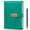 Green, variant on WEMATE Lockable Password Protected Diary with Metal Pen, A5 Green, 240 Pages, 1 Count