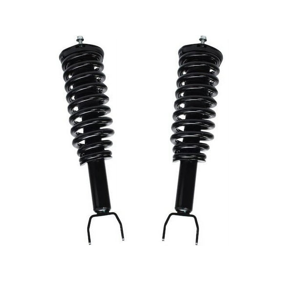 Front Strut Assembly Set - Compatible with 2005 - 2009 Dodge Dakota 2006 2007 2008