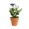 thumbnail image 1 of Muellery Artificial Daisy Flowers Decorative Artificial Flowers Plastic Pot Décor Purple TP1A56444Purple, 1 of 4