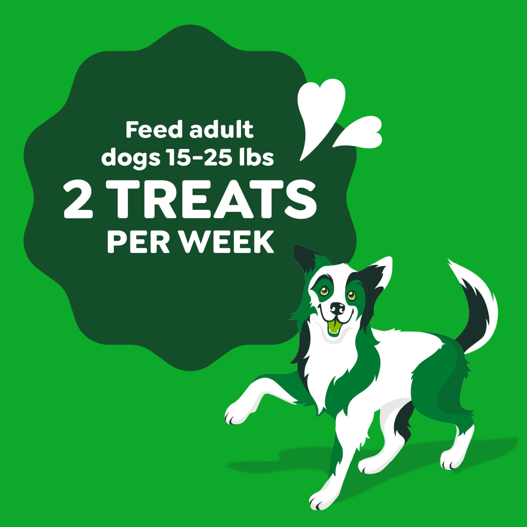 Greenies Occupy Twists Natural Dog Treats Petite Size, Chicken Flavor, 8.75 oz. Pack, 10 Count