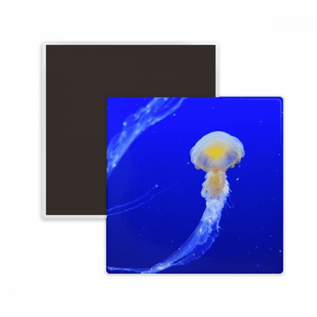 

Ocean Jellyfish Science Nature Picture Square Ceracs Fridge Magnet Keepsake Memento