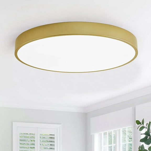 11.8 Inch Modern Round LED Ceiling Light, 24W Cold White Light Minimalist Semi-flush Mount Ceiling Light Fixture