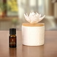 thumbnail image 2 of ScentSationals 100% Essential Oil - Tea Tree, 2 of 8
