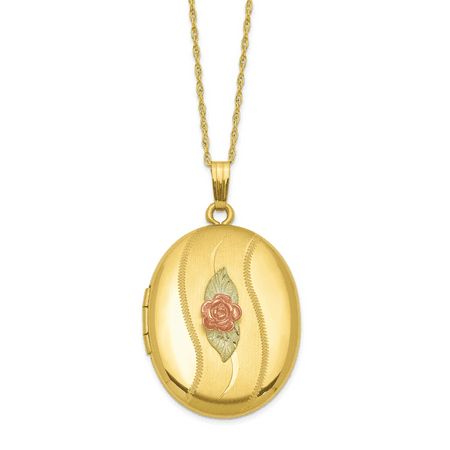 14k Yellow Gold Filled 12k Accents Black Hills Photo Pendant Charm Locket Chain Necklace That Holds Pictures Hill For Women Gift Set