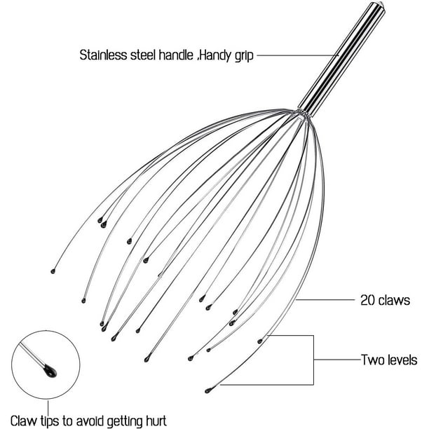 9+ Diagram Of A Head
