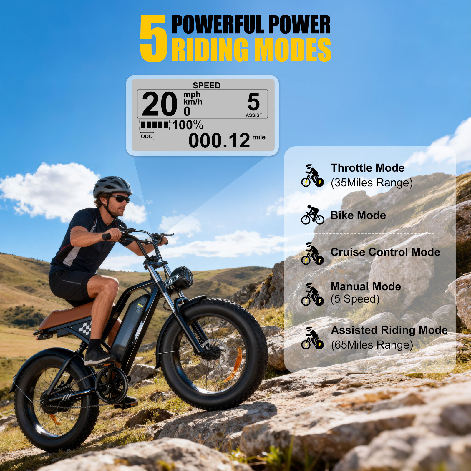 1000W Peak Electric Bike,20*4" Fat Tire Electric Dirt Bicycle,Ebike for Adults with 65+Miles Full Suspension