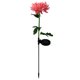 thumbnail image 1 of Lámpara Solar de crisantemo, 2 uds., luz de jardín, flores artificiales, césped, paisaje, jardín, decoración exquisita, creativa Iluminación y accesorios Crisantemo rosa crisantemo rosa Advancent HA073440-03, 1 of 6
