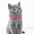 thumbnail image 4 of Collar para cachorros Apuakthei con diamantes de cristal y brillantes de colores para niñas y gatos, 4 of 5
