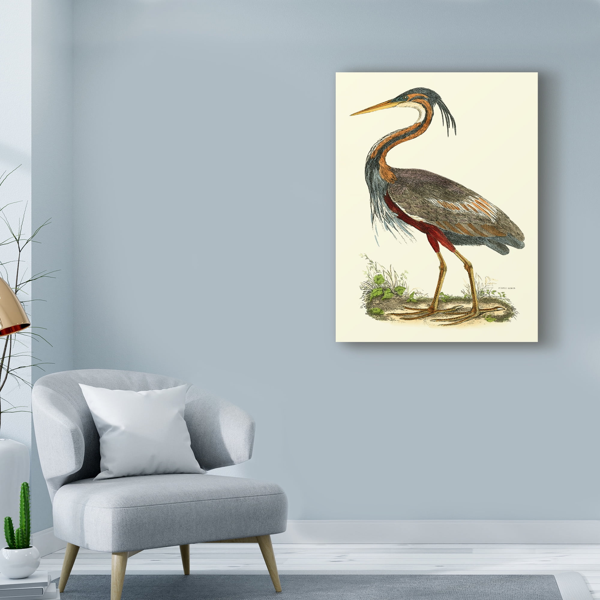 Trademark Fine Art 'Custom Purple Heron' Canvas Art by John Selby