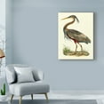 thumbnail image 3 of Trademark Fine Art 'Custom Purple Heron' Canvas Art by John Selby, 3 of 4
