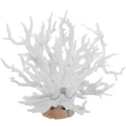 Page 3 - Buy Coral Products Online at Best Prices in Nederland