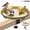 Gold, variant on Xdziklosj Deck Bird Bath, Stainless Steel Bowl with Adjustable Clamp,10" Rustproof Metal Birdbath and Feeder for Railing Fence Outdoor Garden Decor