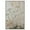 Silver Frame, variant on Plaster Petal Panorama Canvas Vintage Botanical by Art Remedy, Gallery Wrapped, 16 x 24