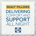 thumbnail image 3 of Sealy Plush Standard Bed Pillows, Lightweight Removable Washable, 3 of 10
