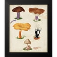 thumbnail image 2 of Vision Studio 12x14 Black Modern Framed Museum Art Print Titled - Mushroom Species VII, 2 of 5
