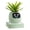 Mint, variant on PLANTSIO Smart pet Planter Robot Guidance on Plant Care with Emojis, Adorable Plant Companion with Rich Gesture Interaction, Neat Desk Setup Gift (White)