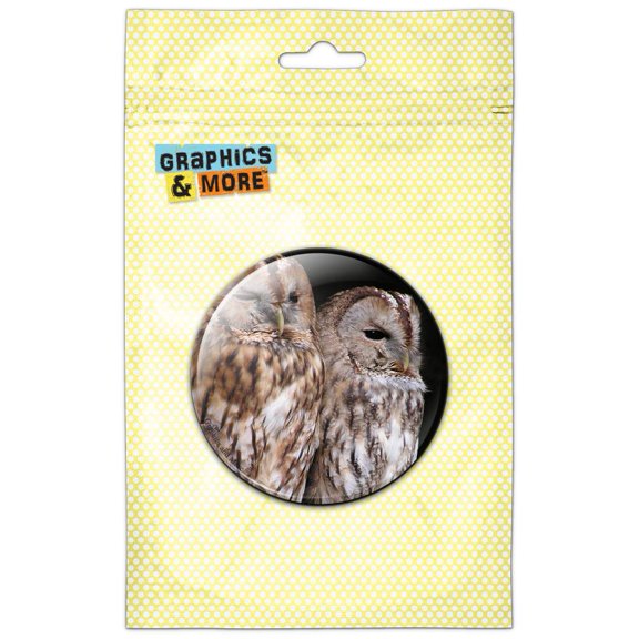Tawny Owls Duo Pinback Button Pin Badge