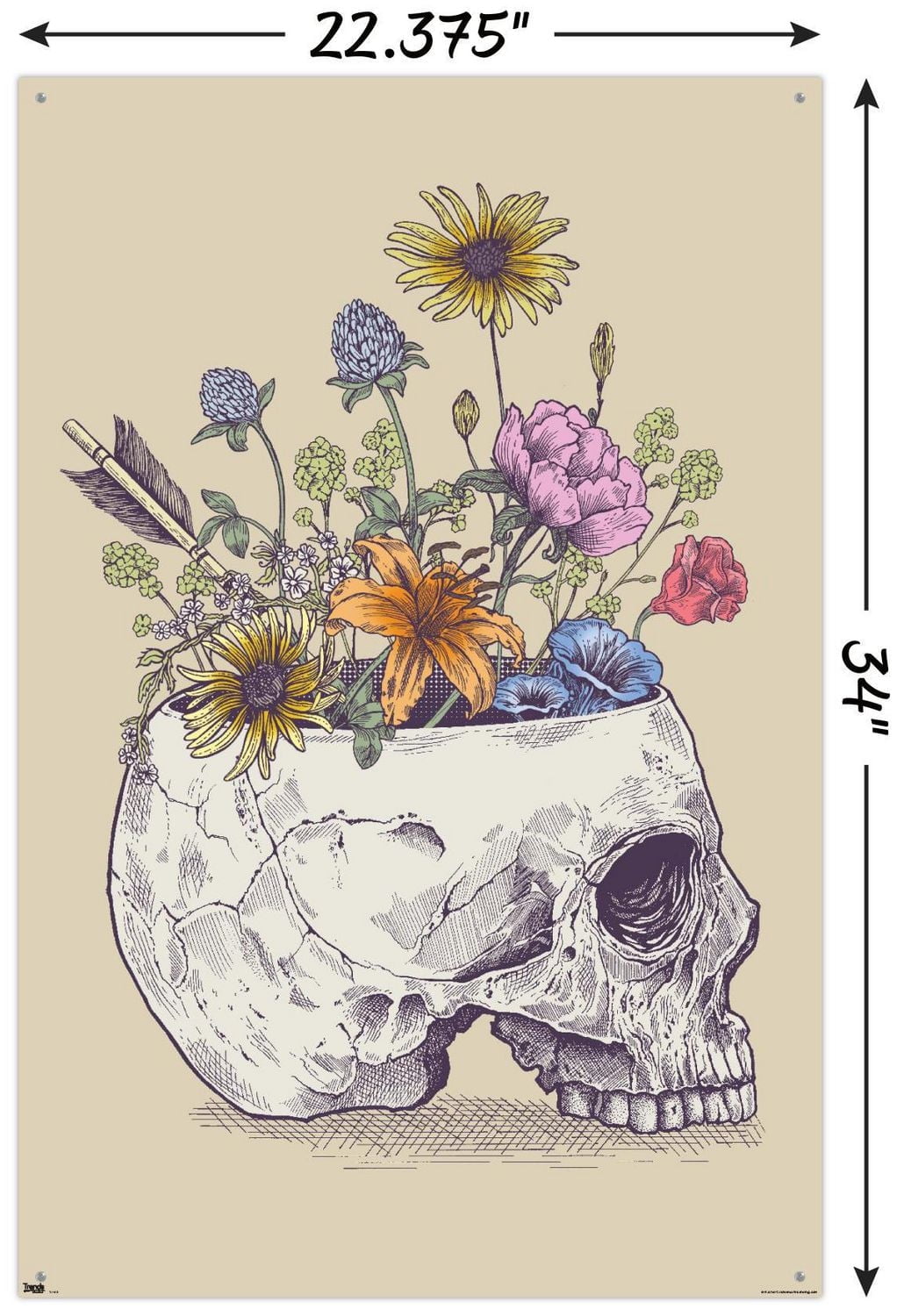 Rachel Caldwell - Crâne de fleur