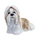 thumbnail image 5 of Estatua de perros malteses escultura animal de resina de resina figura decorativa de adorno para la mesa del dormitorio decoración del hogar Corbata de cabello rojo, 5 of 9