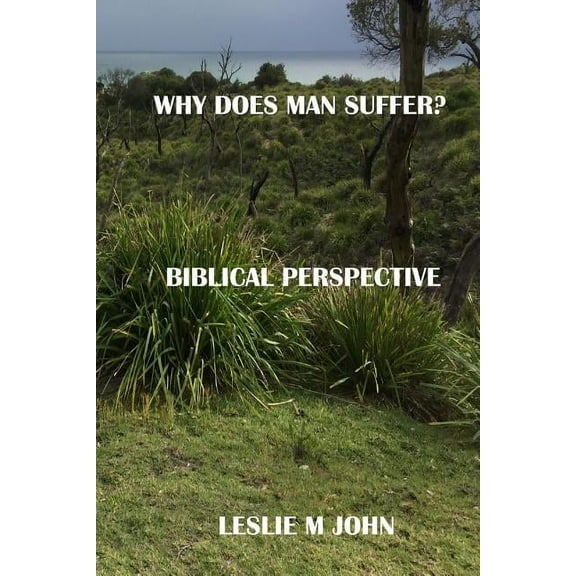 Why Does Man Suffer? : Biblical Perspective (Paperback)
