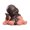 B, variant on Little Ceramic Maitreya Happy Buddha Statue Figurine Collections for Home Office, Durable -