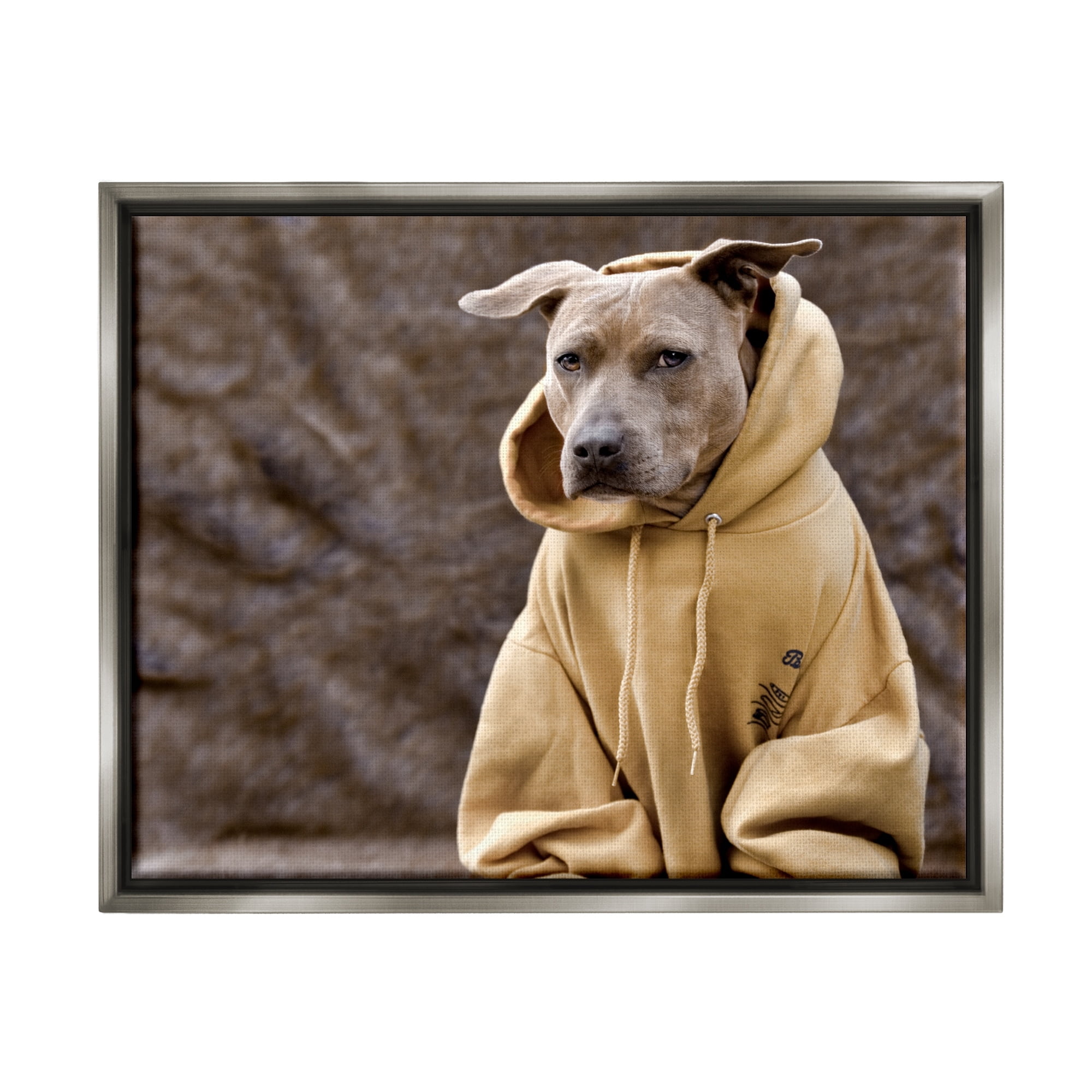 Stupell Industries Beautiful Dog Wearing Cozy Yellow Hoodie Photography Photograph Luster Gray Floating Framed Canvas Print Wall Art, Design by Michael Brian