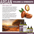 thumbnail image 6 of Hair Chemist Volume & Strength Sulfate-Free Argan Conditioner 33.8 oz., 6 of 9