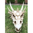 thumbnail image 3 of Ebros Large Elder Dragon Skull Statue Legendary Erathia Fossil Skeleton 18"L Figurine, 3 of 7
