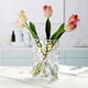 thumbnail image 3 of Jarrón , jarrón transparente sólida engrosada, jarrones de cristal decorativos de cristal modernos para flores, pieza Sunnimix Jarrón hidropónico, 3 of 7