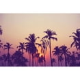 thumbnail image 3 of Design Fabrikken 14x11 Black Modern Framed Museum Art Print Titled - Palm Sky 1, 3 of 5