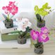 thumbnail image 1 of Gwong Decoración hogareña Flor artificial Mariposa Orquídea Pot Bonsai Garden DIY Fiesta Decoración de muebles Gwong 21041043, 1 of 7