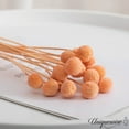 thumbnail image 6 of Uniquewise 20-Pcs Natural Dried Billy Ball Flowers Craspedia Bouquet for Home Party & Wedding Décor Real Buttons for Tall Vases Floral Arrangements DIY Crafts Centerpieces & Wreath Accents, Champagne, 6 of 8