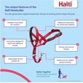 thumbnail image 2 of Halti Nylon Padded No Pull Dog Headcollar, Red, Size 2, 2 of 5