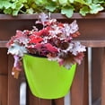 thumbnail image 5 of LHWEN 7 Pack Self Watering Flower Pot Wall Hanging Plastic Planter with Removable Basket Cotton Rope and Hooks for Indoor Garden Perfect for Rooms Balconies Kitchens and More and Elegant Design Easy, 5 of 8