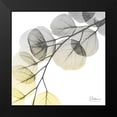 thumbnail image 2 of Koetsier, Albert 12x12 Black Modern Framed Museum Art Print Titled - Brilliant Eucalyptus 1, 2 of 5
