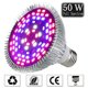 thumbnail image 1 of 50W LED Plant Lamp Grow Light Full Spectrum, 78 LED Plant Lamp Plant Lamps for Plants Greenhouse Indoor Plants, 1 of 5