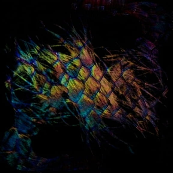 Vaura - Sables - Rock - Vinyl