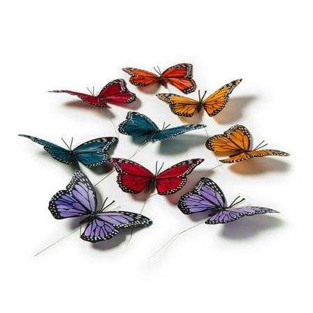 UPC: 0886946561429 | Large Nature Center Butterflies Value Pack by Ashland®