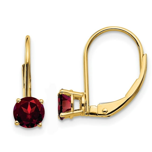 Primal Gold 14 Karat Yellow Gold 5mm Garnet Leverback Earrings