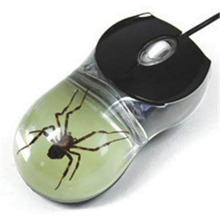 ED SPELDY EAST CM06 Computer Mouse  Glow in the Dark  (Best Cm Storm Mouse)