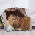 thumbnail image 3 of Rateoe Cowboy Hat Guinea Pig Pattern Flannel Throw Blanket, Ultra-soft Blanket for Bed, Couch, Car, Hypoallergenic Anti-pilling blanket-60"x50"(Horizontal), 3 of 6