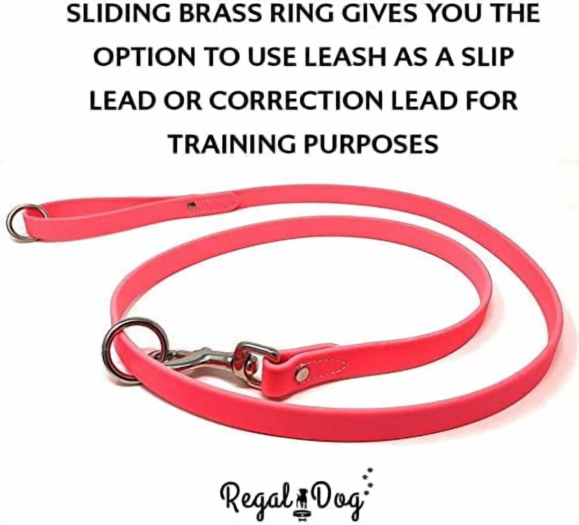 Regal Dog Products Waterproof Collar & 5ft Leash Set Heavy Duty Biothane