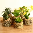 thumbnail image 2 of Artificial Succulent Plants Faux Assorted – Succulent Plants Arrangement Textured Cactus Stems Pick - Fake Cacti Aloe Succulent Variety Floral Decorative Bouquet Pack, 2 of 8
