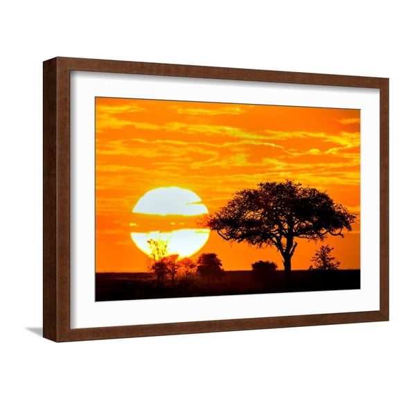Art.com Silhouette of Trees in Forest at Dusk, Ndutu, Ngorongoro Conservation Area, Tanzania Photographic Print, Brown Frame Wall Art, 23" x 17"