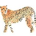 thumbnail image 3 of Vess, June Erica 24x20 Black Modern Framed Museum Art Print Titled - Majestic Cheetah II, 3 of 5